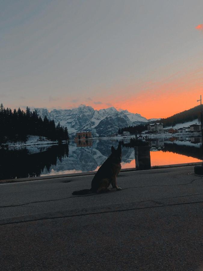 Quinz - Locanda Al Lago Misurina Εξωτερικό φωτογραφία